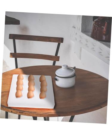 Zerodeko Rutin Egg Protection Egg Holder for Fridge Chicken Egg Container Foam Egg Holder Refrigerator Devil - Buy Online on GoSupps.com