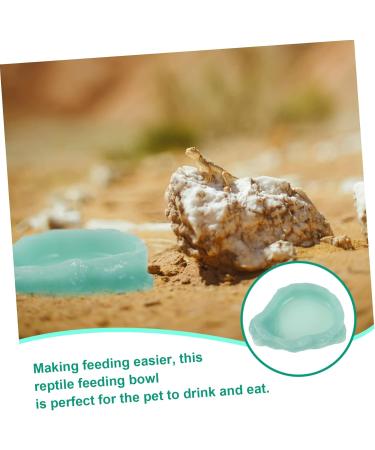 POPETPOP 3pcs Pet Feeding Basin Pet Water Bowl Reptile Bowl Reptile Food Feed Dish Climbing Pet Drinking Bowl 14x11cmx3pcs Light Greenx3pcs - Buy Online on GoSupps.com