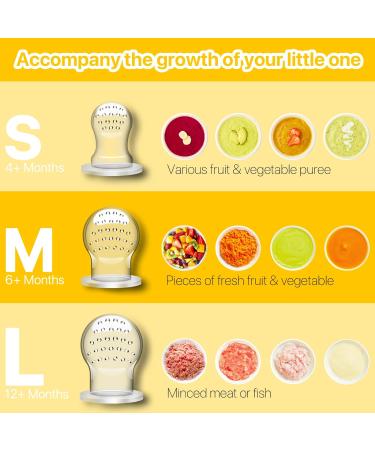 KoalaZoom Baby Fruit Feeder Pacifier (2 Count) | Silicone Teether Toy for Babies | Includes Extra Silicone Sacs | Ideal Baby Feeding Supplies in Lavender & Rapture Rose - Buy Online on GoSupps.com