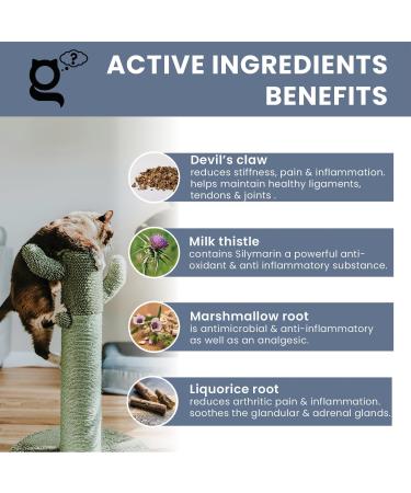 THE PET GURU Joint Guru Mobility Supplement for Cats 100 ml Naturally Supports Flexibility and Vitality Cat Health Joints Tendons Hips Anti-Inflammatory - Buy Online on GoSupps.com