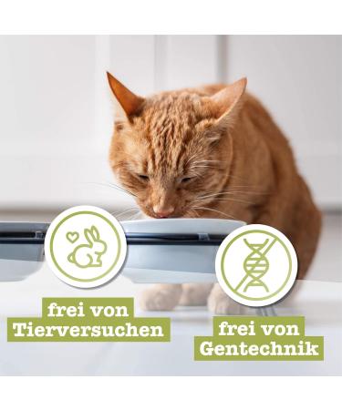 Buy Catz Finefood N 5 Salmon & Poultry Delicatessen Wet Cat Food - Refined with Spinach & Tomato | 6 x 200g Cans - Premium International Shipping - Buy Online on GoSupps.com