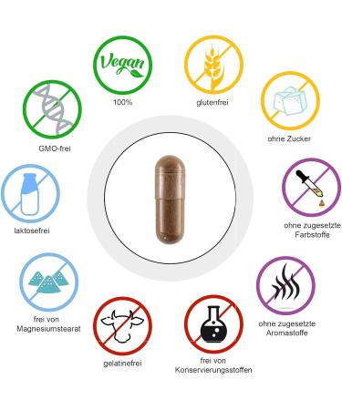 Mary Thistle Extract 80% Silymarin | 120 Vegan Capsules 450mg | High Dose Additive-Free | Made in Germany - Buy Online on GoSupps.com