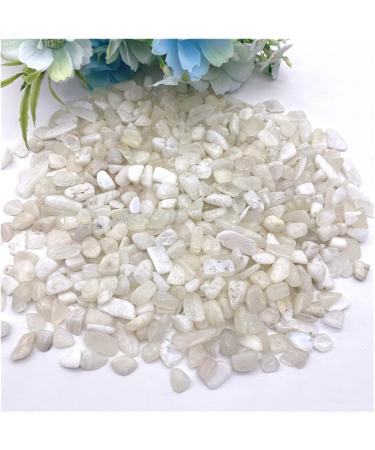 Natural Crystal Rough 50g Natural White Moonstone Gravel Stones Crystal Rock Quartz Specimen Natural Quartz Crystals Home Decoration ERTEYIN - Buy Online on GoSupps.com