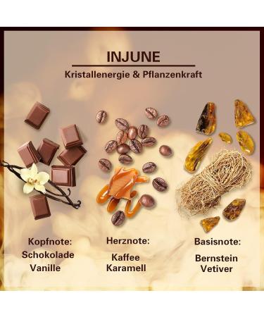 DNAMOFV Injune Coffee Fragrance Candle - Organic Soy 50-Hour Burn Perfect Father's Day Gift for Men & Women - Includes Obsidian & Coffee Beans 200g - Buy Online on GoSupps.com