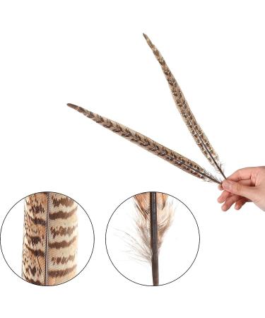 AWAYTR 20pcs Natural Female Pheasant Feathers - 8-11inch DIY Decoration - Buy Online on GoSupps.com
