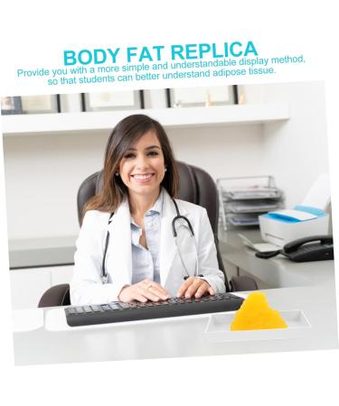 POPETPOP Fat 1lb Fat Model Manikin Demonstration for Fitness Room 5lb Fat Human Body Fat Replica Sports Student Base - Buy Online on GoSupps.com