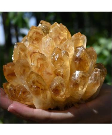 Natural Raw Citrine Quartz Stone Crystal Cluster Yellow Stones Specimen Home Decoration 1pcs yuebang (Size : 450-550g) - Buy Online on GoSupps.com