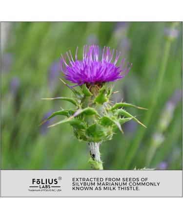 Clean Label Milk Thistle Extract with 80% Silymarin Supports Liver Health and Immune System Liver Detox Supplement 120 Veg Capsules 120 Capsules - Buy Online on GoSupps.com