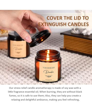 BBto 3 Piece Thank You Gift for Women | Lavender Soy Wax Fragrance Candles in Glass - Perfect Aromatherapy Gift - Buy Online on GoSupps.com