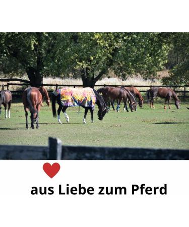 Buy HorseGuard Black Control Halter with Chain for Stallions - COB & VB Thoroughbred | International Shipping Available - Buy Online on GoSupps.com