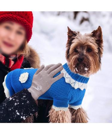 Joytale Winter Dog Sweater | Warm Turtleneck Knitting Sweater for Small Dogs Kittens & Puppies - Blue XXS with Sweet Flowers - Buy Online on GoSupps.com