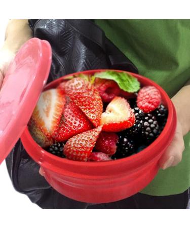 ME.FAN Silicone Collapsible Bowls - 27oz 2 Pack with Lids - Portable Food Storage Containers - Silicone Folding Travel Bowl Set - Buy Online on GoSupps.com