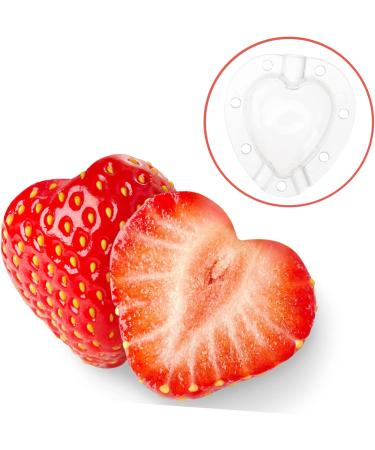 Milisten 5pcs Fruit Shaping Mold Stereotypes Gardening Supplies - Buy Online on GoSupps.com