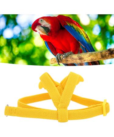 Adjustable Bird Crockery & Leash Set | Outdoor Flight Training for Parrots & Nymphicus - Premium Bird Dishes & Accessories - Buy Online on GoSupps.com