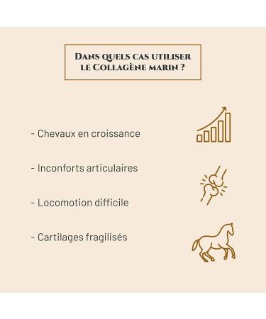 Prince Equin - Marine COLLAGEN - Horse nutritional supplement - Bag 300 g - Joint flexibility - Support for horse tendons - French brand (300g bag) - Buy Online on GoSupps.com