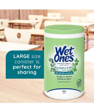 150 ct. Wet Ones Antibacterial Eucalyptus & Mint Hand Wipes Canister | Hand Sanitizer Wipes | Soft Textured & Lightly Scented | 1 Pack - Buy Online on GoSupps.com
