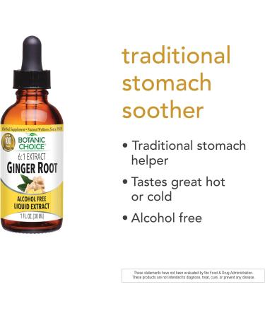 Botanic Choice Liquid Extract, Ginger Root, 1 Fluid Ounce - Buy Online on GoSupps.com