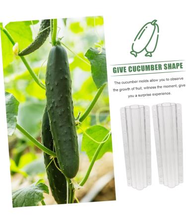 Yardwe 10 Pcs Vegetable Shaping Cucumbers Fruit Growing Cucumber Styling Modeling Accessories - Buy Online on GoSupps.com