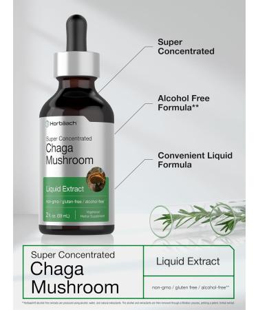 Horb ach Chaga Mushroom Liquid Extract | 2 Fl Oz | Vegetarian Tincture | Alcohol Free | Non-GMO Gluten Free - Buy Online on GoSupps.com