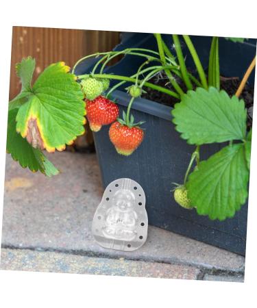 LABRIMP Watermelon Mold 4pcs Mini Gourd Mold Pro Tools Mini Tools Garden Melon Molds Small Fruit Mold Buddha Statue Baby Pp - Buy Online on GoSupps.com