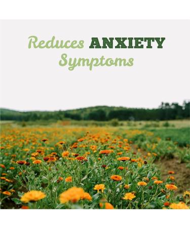 St. Francis Herb Farm Strest | Herbal Tincture with Ashwagandha | Helps with Stress Relief | Anxiety Relief Remedy Drops | Certified Organic Non GMO Gluten Free Vegan Dairy Free - 50 mL - Buy Online on GoSupps.com