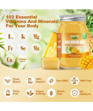 (18 OZ) Irish Sea Moss Gel Raw Vegan Mango Pineapple Flavor 102 Vitamins and Minerals Wild Harvested Non-GMO Mango Pineapple 1.13 Pound (Pack of 1) - Buy Online on GoSupps.com