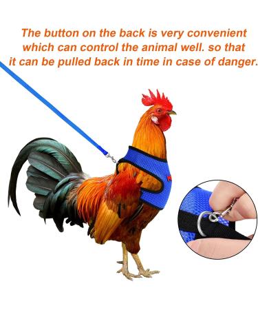 Molain Adjustable Chicken Harness & Leash - Comfortable Vest for Ducks & Hens (2-11 lbs) - Breathable Mesh Training Gear (Blue) - Buy Online on GoSupps.com