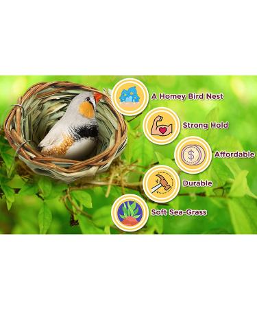 SunGrow Birds Nest for Finch, Canary, Pigeon, Parakeet - Encourages Courtship, Breeding, Nesting - Buy Online on GoSupps.com
