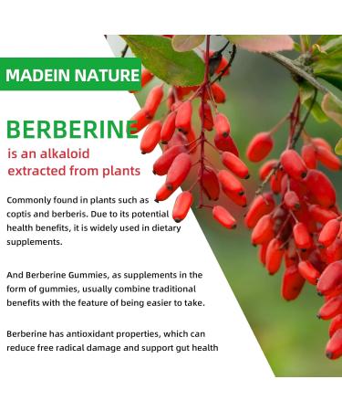 HEALOADING Berberine Supplement with Ceylon Cinnamon: Berberine Gummies with Milk Thistle Chromium for Metabolism Energy Gut Health Fasting & Body Mass Control - Buy Online on GoSupps.com