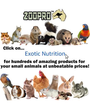 Fruit Medley Treat (6 oz.) - Healthy Natural Dried Fruit Treat - Sugar Gliders Squirrels Chinchillas Prairie Dogs Opossums Marmosets Monkeys Parrots Birds Rabbits Guinea Pigs & Small Pets - Buy Online on GoSupps.com