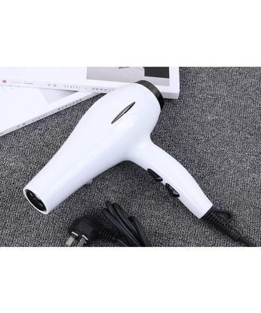 JYYBN Hair Dryer Professional Hair Dryer AC Motor 1800W Negative Ionic Hairdryer with 3 Heat 2 Speed Settings for Home & Salon Fast Drying Blow Dryer Protect Hair - Buy Online on GoSupps.com
