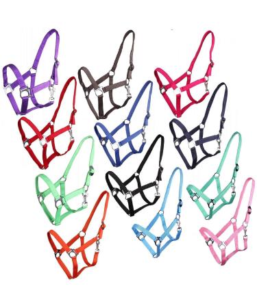 netproshop Halter or lead rope plain for your darlings Mini Shetty to XL Full Size:Pony Color:Red Pony Red