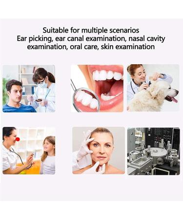 Ear Endoscope 3.9mm Ear Otoscope with 4.3 Inch Screen Support Photo Snap Video Recording Ear Inspection Tool Set Display - Buy Online on GoSupps.com