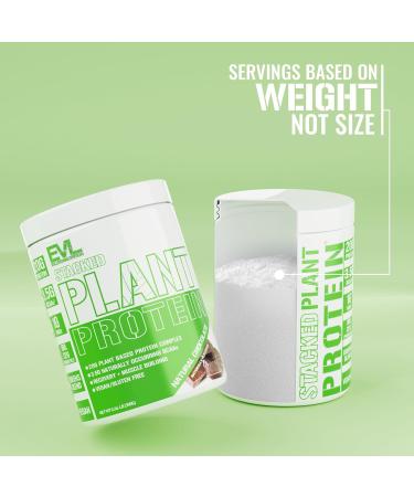 Evlution Nutrition Stacked Plant Protein Powder Vegan Non-GMO Gluten-Free Probiotics BCAAs Fiber Plant-Based Protein Complex 300G (Natural Chocolate) Natural Chocolate 0.66 Pound (Pack of 1) - Buy Online on GoSupps.com
