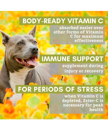 Organic Dog Allergy Relief & Immune Support Supplement | Vitamin C Powder for Joint Mobility & Overall Health | UTI Relief | 1000mg Ester C | Made in USA | 6 oz - Buy Online on GoSupps.com