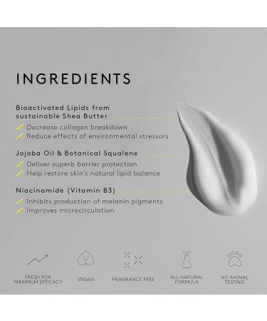 NUORI Protect + Facial Cream - All Natural Fragrance Free Moisturizer for All Skin Types 30 ml - Buy Online on GoSupps.com