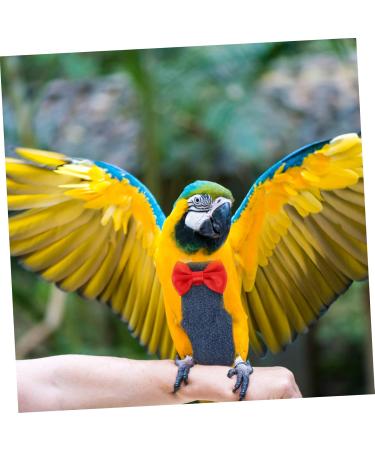 FOMIYES Flying Bird Diapers - Parrot & Cockatiel Diaper Suit | Best Bird Clothes & Pigeon Supplies (12x6cm) - International Shipping Available - Buy Online on GoSupps.com
