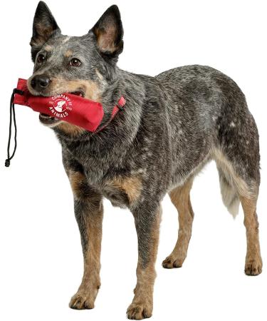 Company of Animals Canvas Training Dummy - Medium Size | Retrieval & Gundog Training Equipment | Floats & Highly Visible | Long Distance Throwing | Suitable for Puppies | Old Model - Buy Online on GoSupps.com