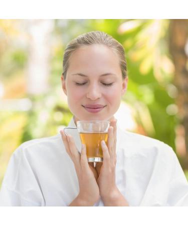  Lipton Lipton Organic Green Tea Ginger & Lime Rainforest Alliance Certified 240 Bags (Pack of 12 x 20 Bags) - Buy Online on GoSupps.com