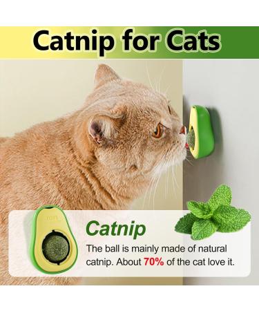 Havenfly Rotatable Catnip Ball Toy - Edible Catnip Wall Roller for Cats | 1PC Cat Toys for Engaging Play - Buy Online on GoSupps.com