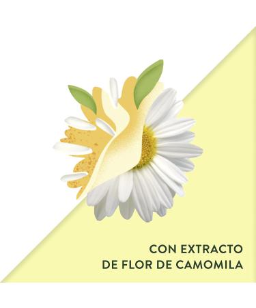  Timotei TIMOTEI Chamomile Shampoo with Golden Highlights 750 ml - Pack of 6 - Buy Online on GoSupps.com