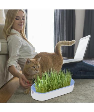 Cat Grass Set - Hydroculture Plant Container for Cats | Dirt-Free Odorless Anti-Grave Design & Easy Planting - Available in 3 Colors - Buy Online on GoSupps.com