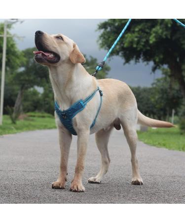 Suredoo Blue Dog Harness for Large Medium & Small Breeds - No Pull Reflective Breathable & Adjustable Safety Harness for Puppies & Pets - Buy Online on GoSupps.com