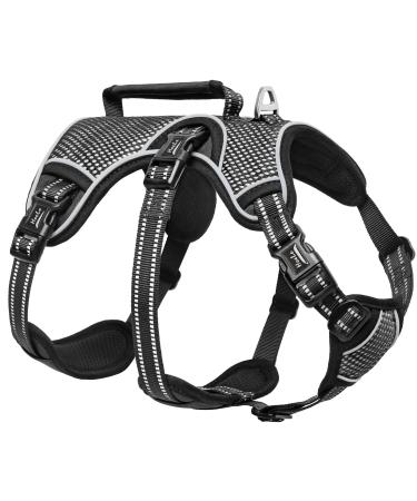 Heele dog harness breakout buckle in the neck area reflective breast dishes with a robust handle panic crockery dog dog harness stable impression fits like a glove black m m black