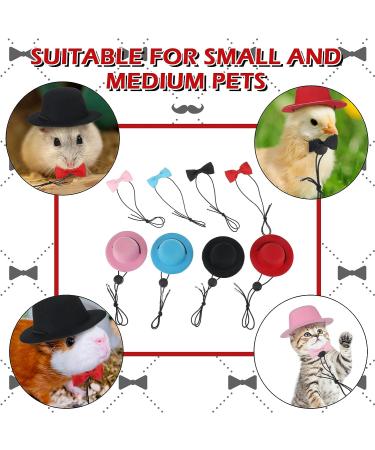 Guinea Pig Clothes Set - Small Animal Outfit Suit with Bow Ties and Hats for Hamsters, Ferrets, Cats, Rats, and more - Buy Online on GoSupps.com
