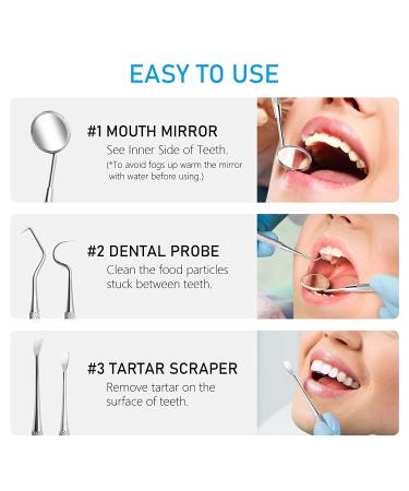 Dental Hygiene Kit - Stainless Steel Plaque Remover Set for Adults, Kids, and Pets - Includes Tongue Scraper, Mirror, and Probe - Portable Oral Care Tools with Case - Buy Online on GoSupps.com