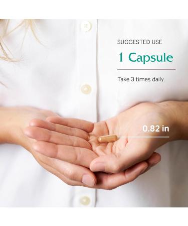 Vitanica Green Tea Extract Supplement 330mg 45% EGCG 98% Polyphenols and 80% Catechins Energy Antioxidant and Immune Support Vegan 60 Capsules - Buy Online on GoSupps.com