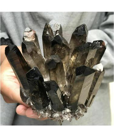 Crystal Rough Natural Crystal Rough Beautiful Natural Black Smoky Quartz Crystal Cluster Home Office Aquarium Decoration (Size : 800-900g) - Buy Online on GoSupps.com