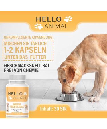 Helloanimal Wurm Pressing Cure for Cats Dogs Rabbits & Poultry | Natural Worm Treatment for Pets - Before During & After Infestation - Buy Online on GoSupps.com