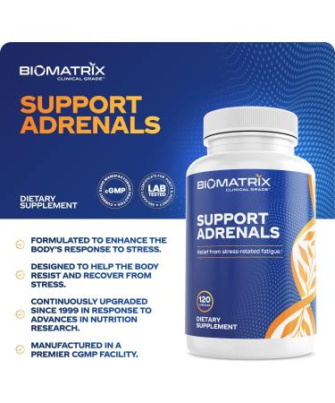 Adrenal Fatigue Supplement with Cortisol Support and Energy Boost - 120 Vegetarian Capsules - Buy Online on GoSupps.com